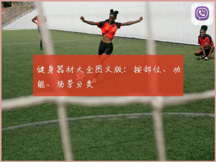 健身器材大全图文版：按部位、功能、场景分类