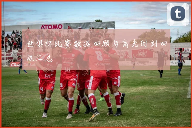 世俱杯比赛数据回顾与高光时刻回放汇总