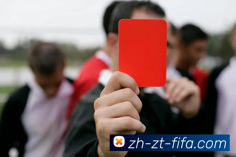 世界杯赛程平台生态图